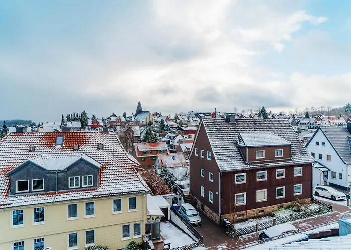 Grosse - Boxspring - Rodelwiese - Balkon - 4 Personen 公寓 布劳恩拉格