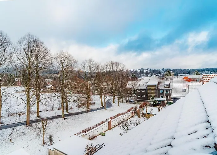 Grosse - Boxspring - Rodelwiese - Balkon - 4 Personen Daire