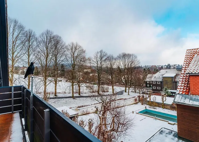 Grosse - Boxspring - Rodelwiese - Balkon - 4 Personen Daire Braunlage