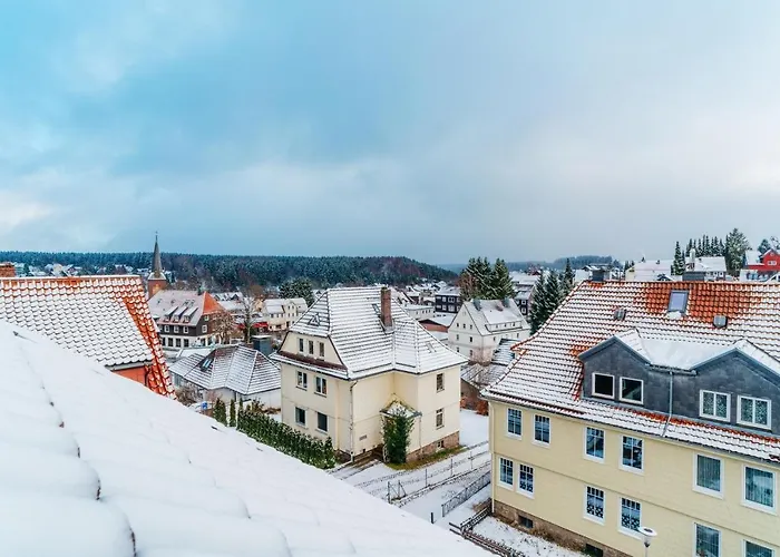 Grosse - Boxspring - Rodelwiese - Balkon - 4 Personen 公寓 *